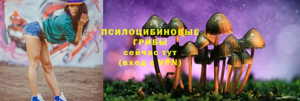 прущий лед Каменногорск