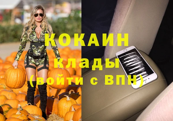 ПСИЛОЦИБИНОВЫЕ ГРИБЫ Корсаков