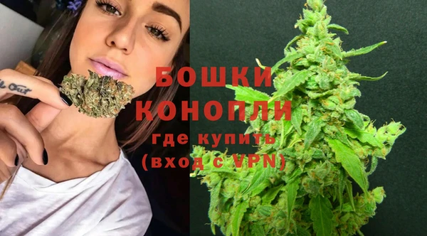 шишки Коряжма