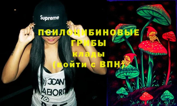 ПСИЛОЦИБИНОВЫЕ ГРИБЫ Балабаново
