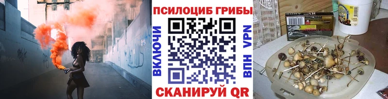дарнет шоп  Вельск  Галлюциногенные грибы GOLDEN TEACHER 
